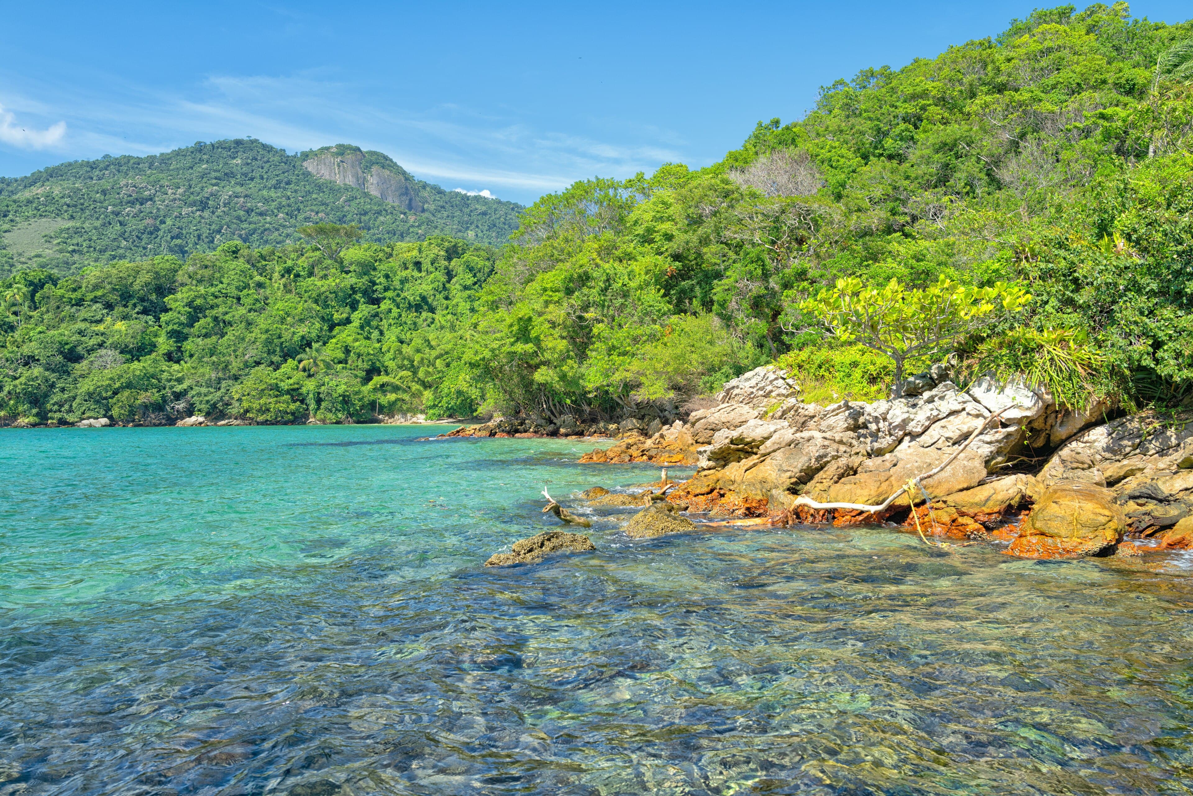 Enseada de água turquesa transparente sobre pedras, com encosta de mata atlântica ao fundo, na região de Angra dos Reis