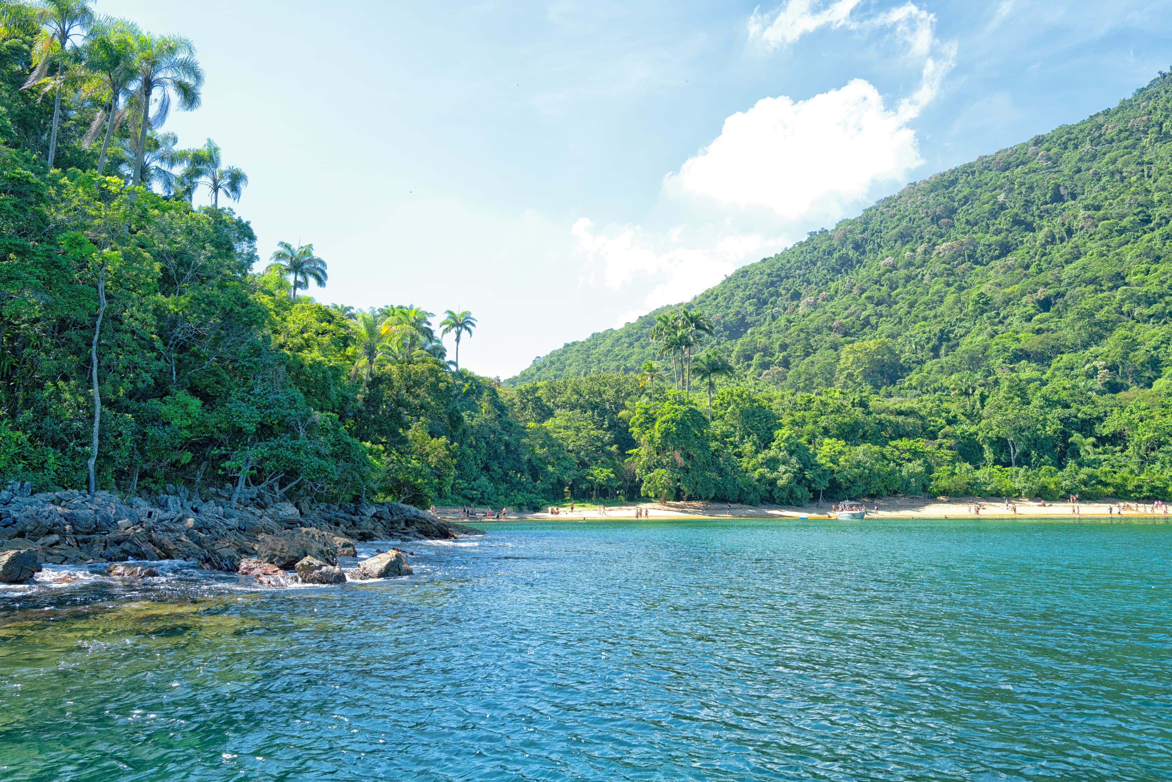 Praia de areia clara no fundo de uma enseada, cercada por palmeiras e mata densa, na região de Angra dos Reis